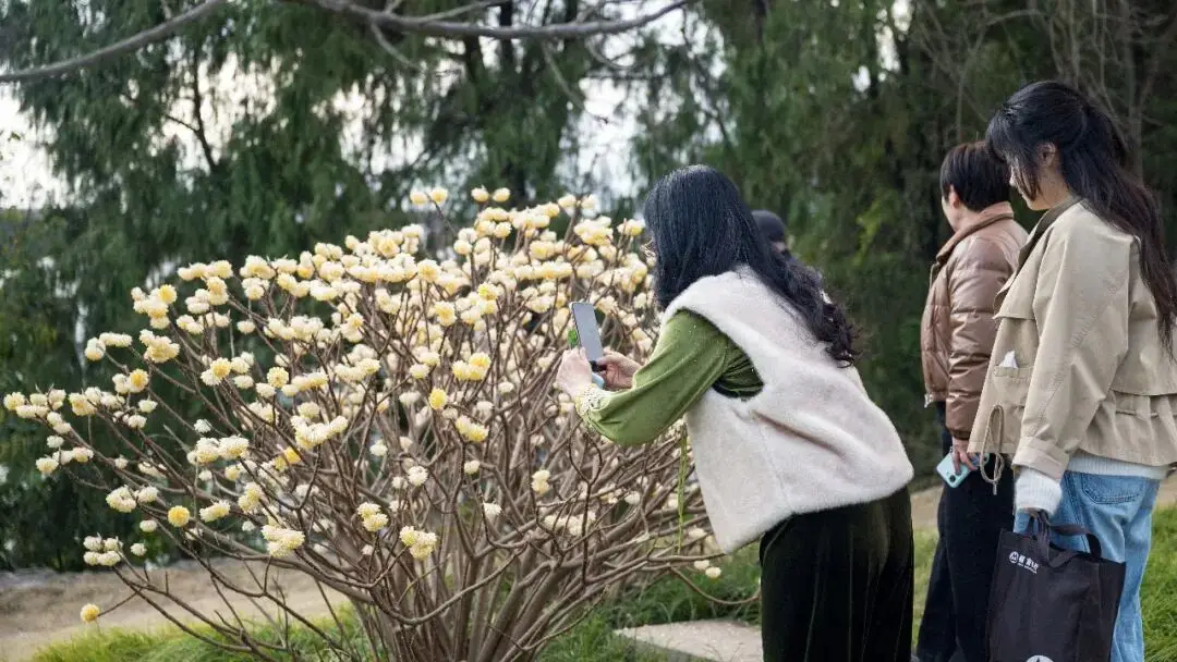 绵阳日落图片_绵阳春游踏青的地方_