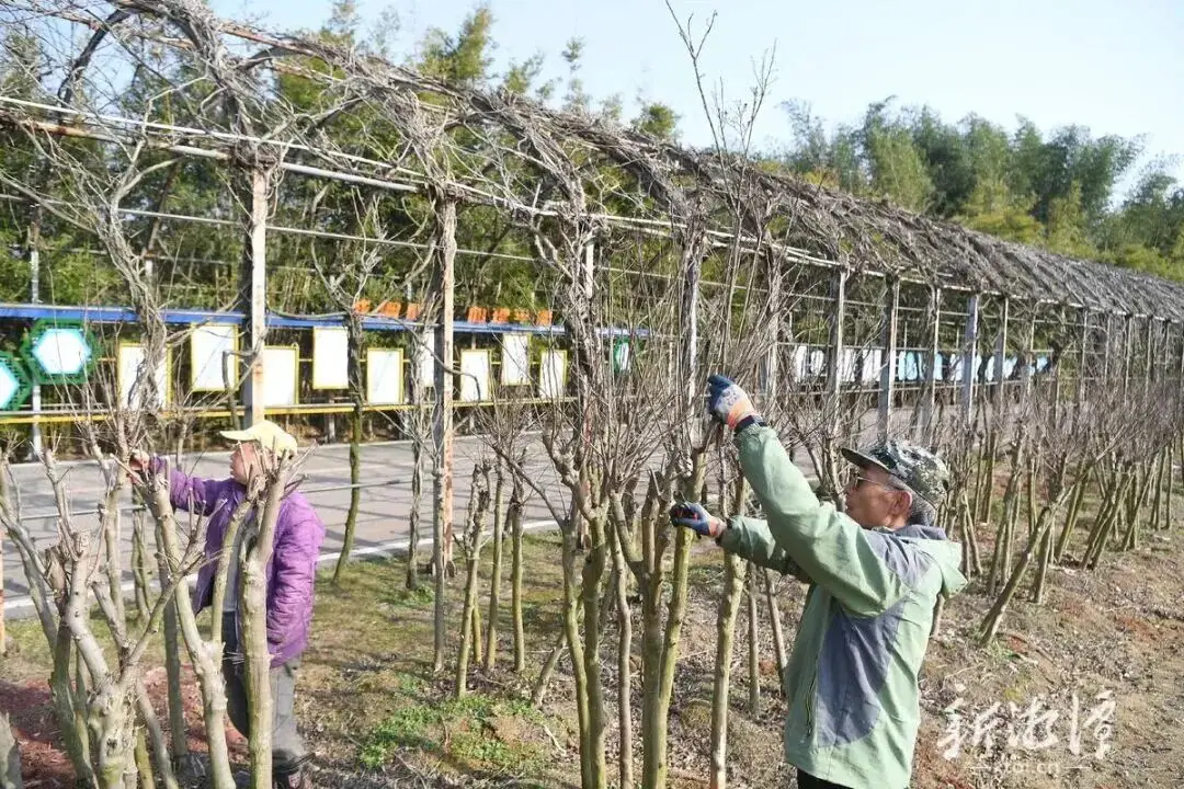 湘潭有没有海__湖南湘潭有海吗