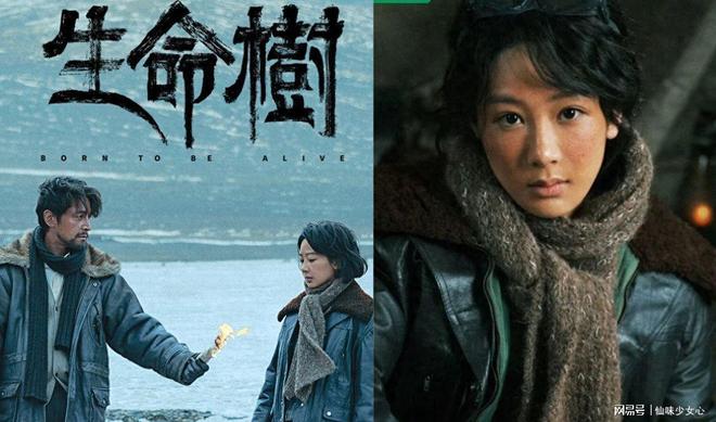 《生命树》杨紫女警对决盗猎，胡歌神秘失踪引悬念