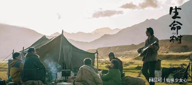 _《生命树》杨紫女警对决盗猎，胡歌神秘失踪引悬念_《生命树》杨紫女警对决盗猎，胡歌神秘失踪引悬念