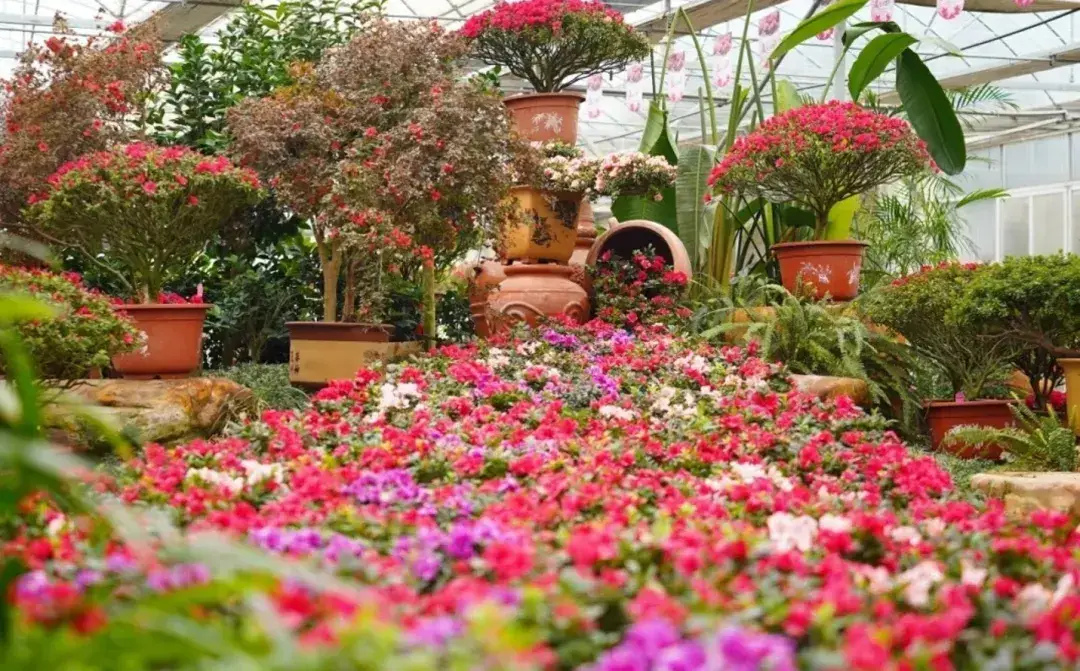 _湘潭哪里可以看海_湘潭有海边吗