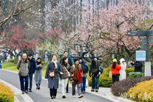 武汉收入2021_2020年武汉收入_