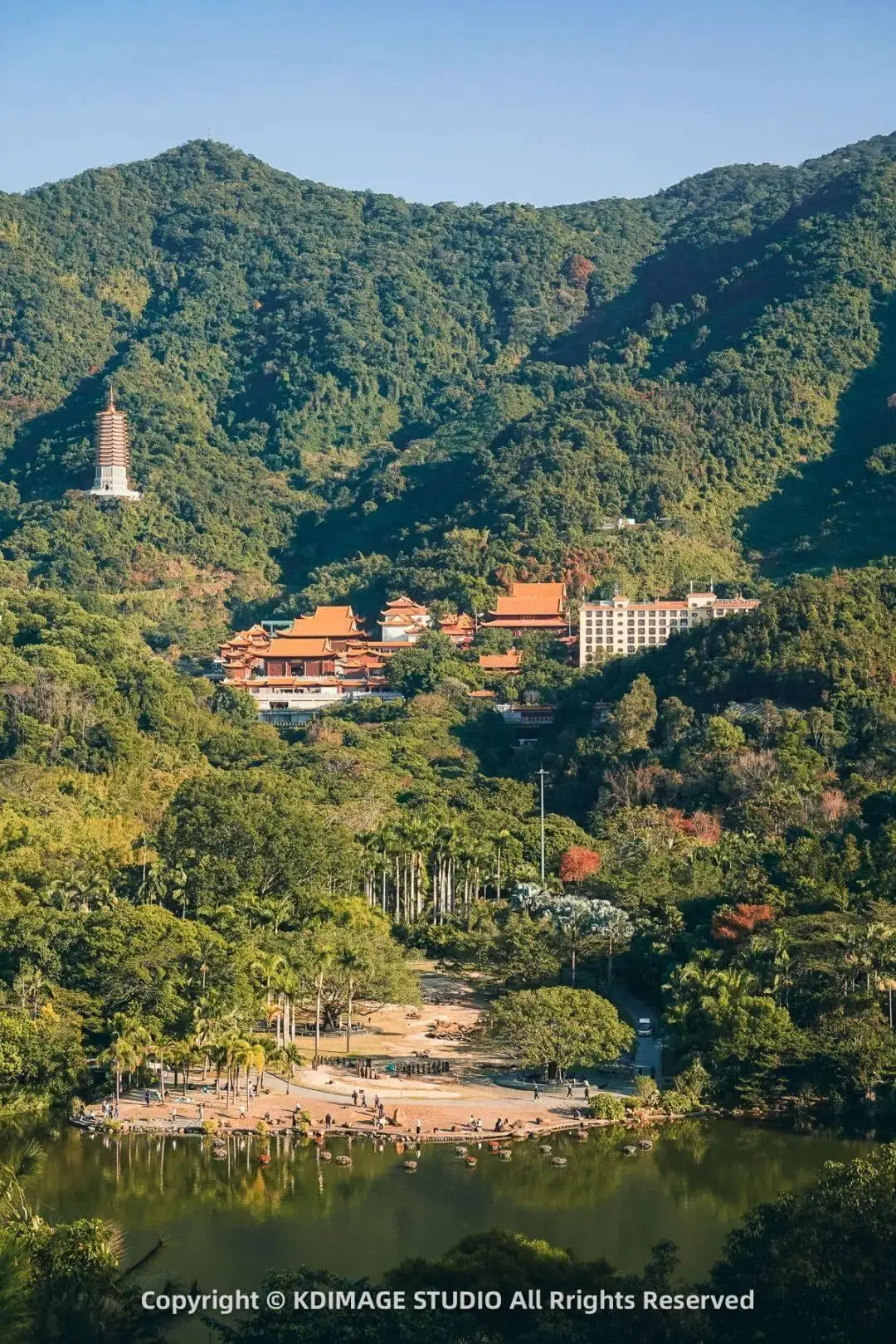 除了祈福，仙湖植物园这条路线，99%深圳人没走完