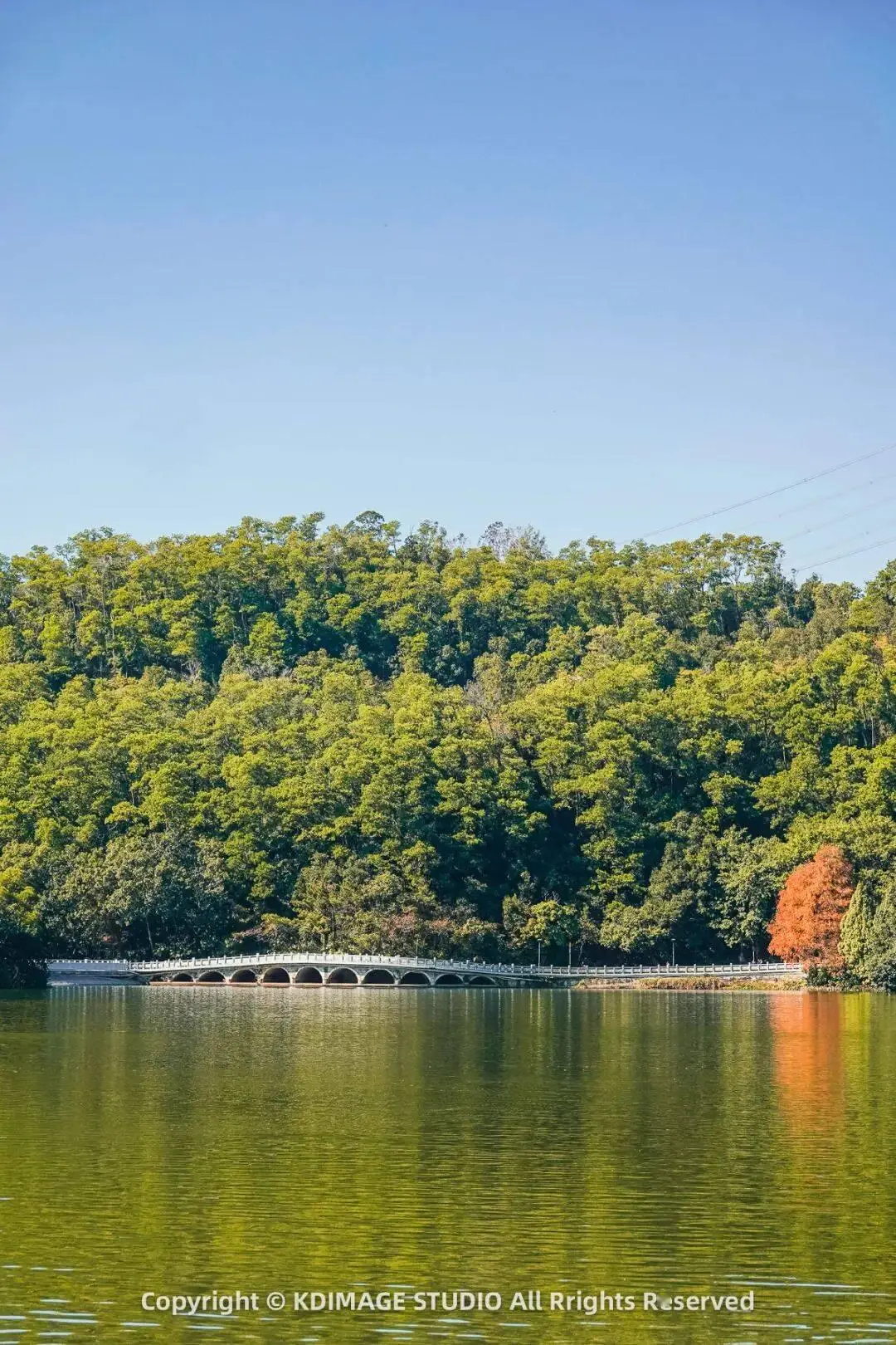_深圳植物园寺庙_植物园深圳