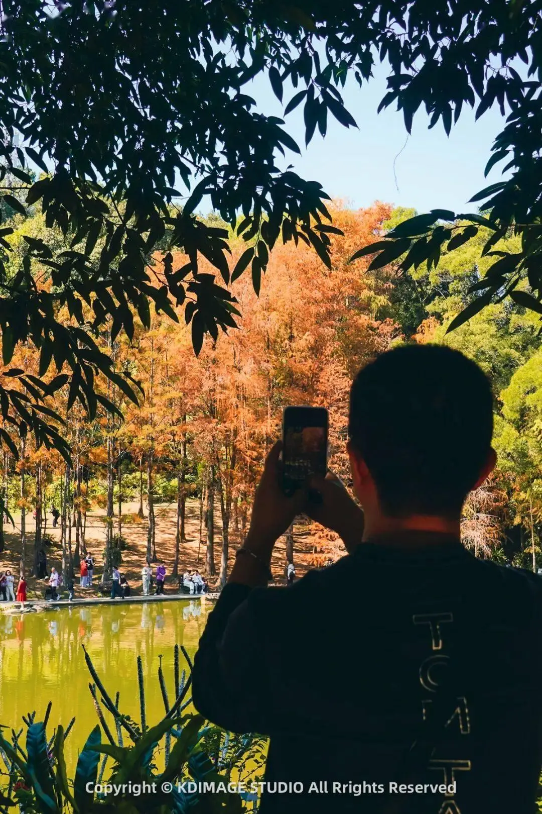 _深圳植物园寺庙_植物园深圳