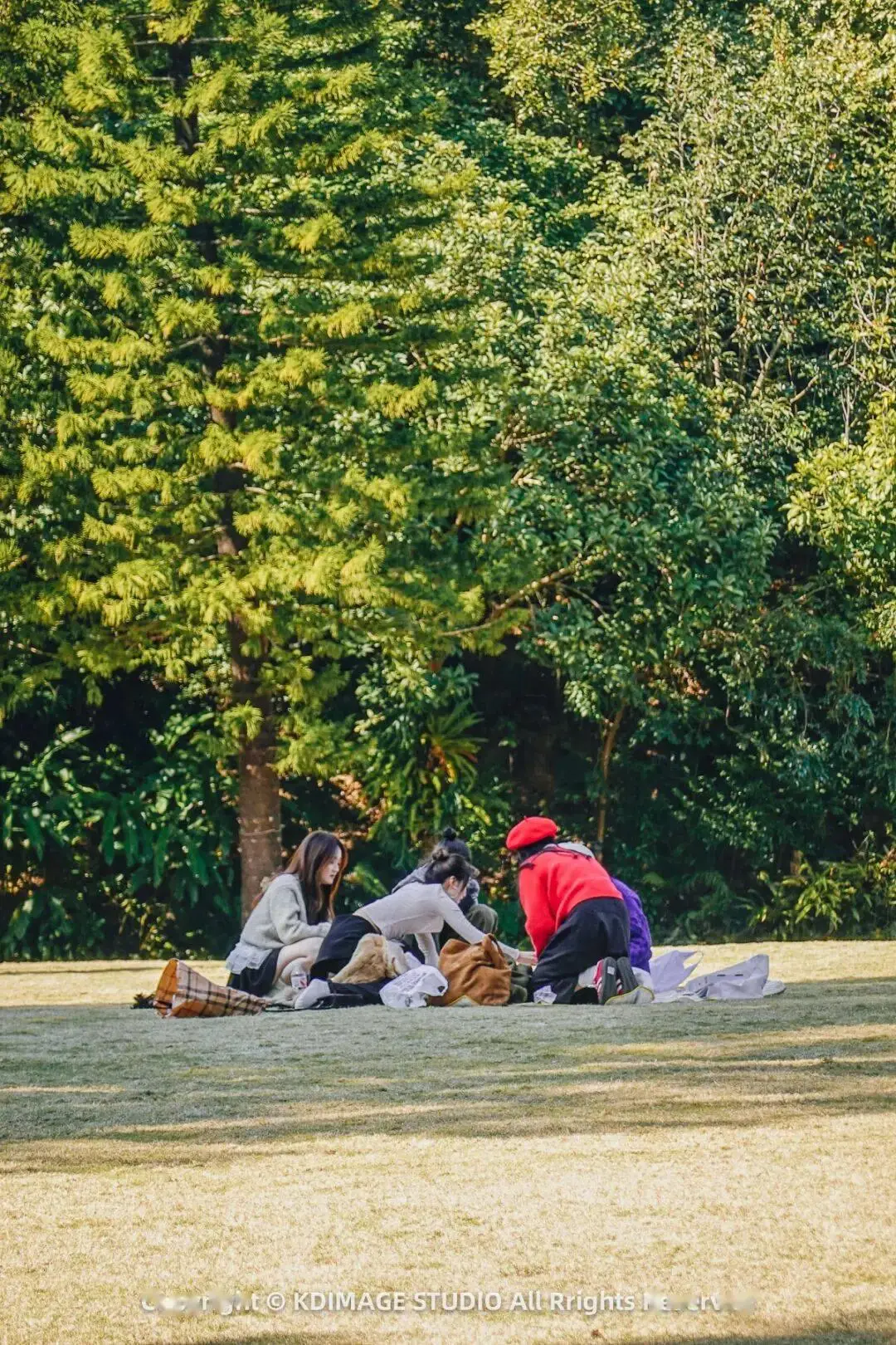 植物园深圳__深圳植物园寺庙