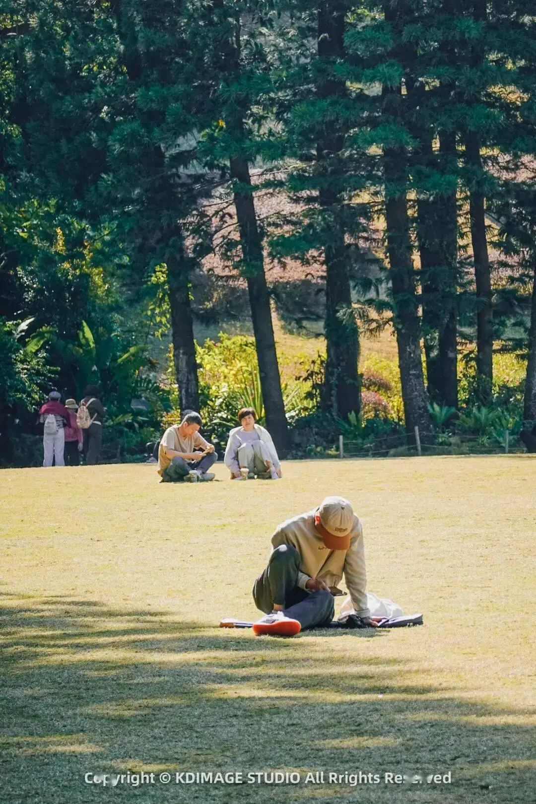深圳植物园寺庙__植物园深圳