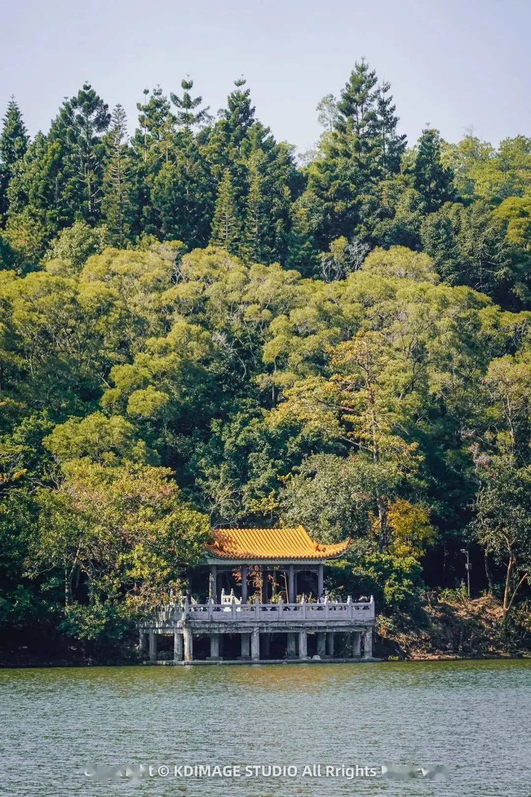 深圳植物园寺庙_植物园深圳_
