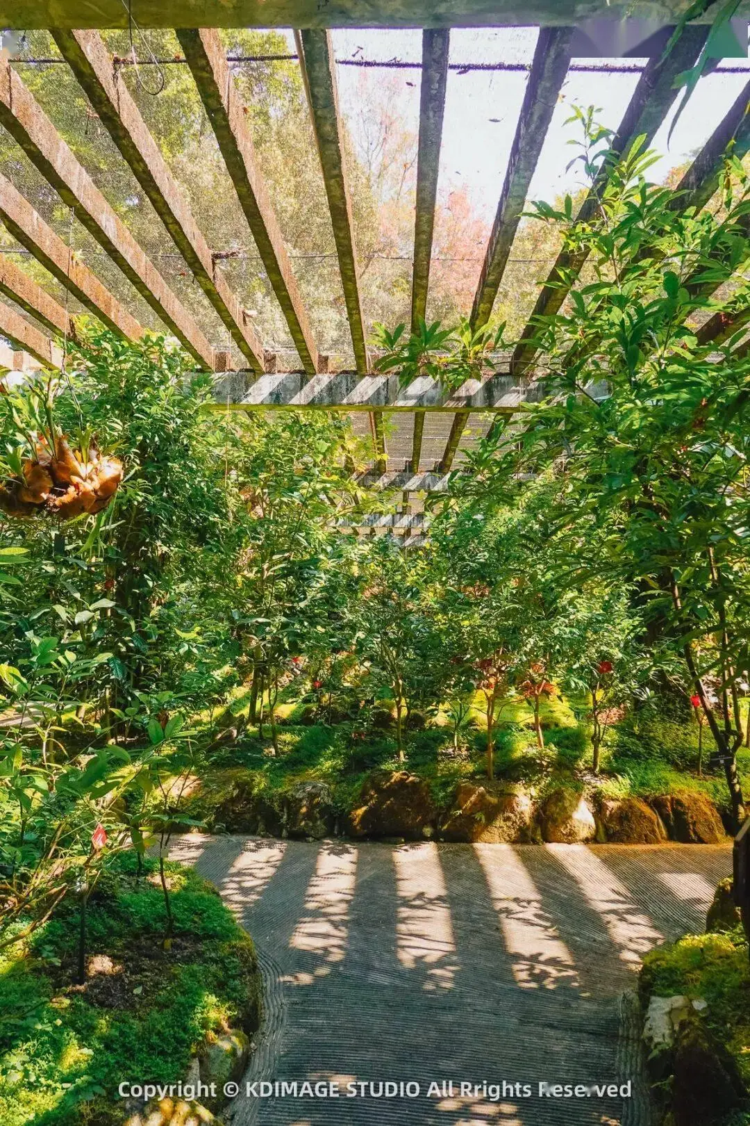 植物园深圳_深圳植物园寺庙_