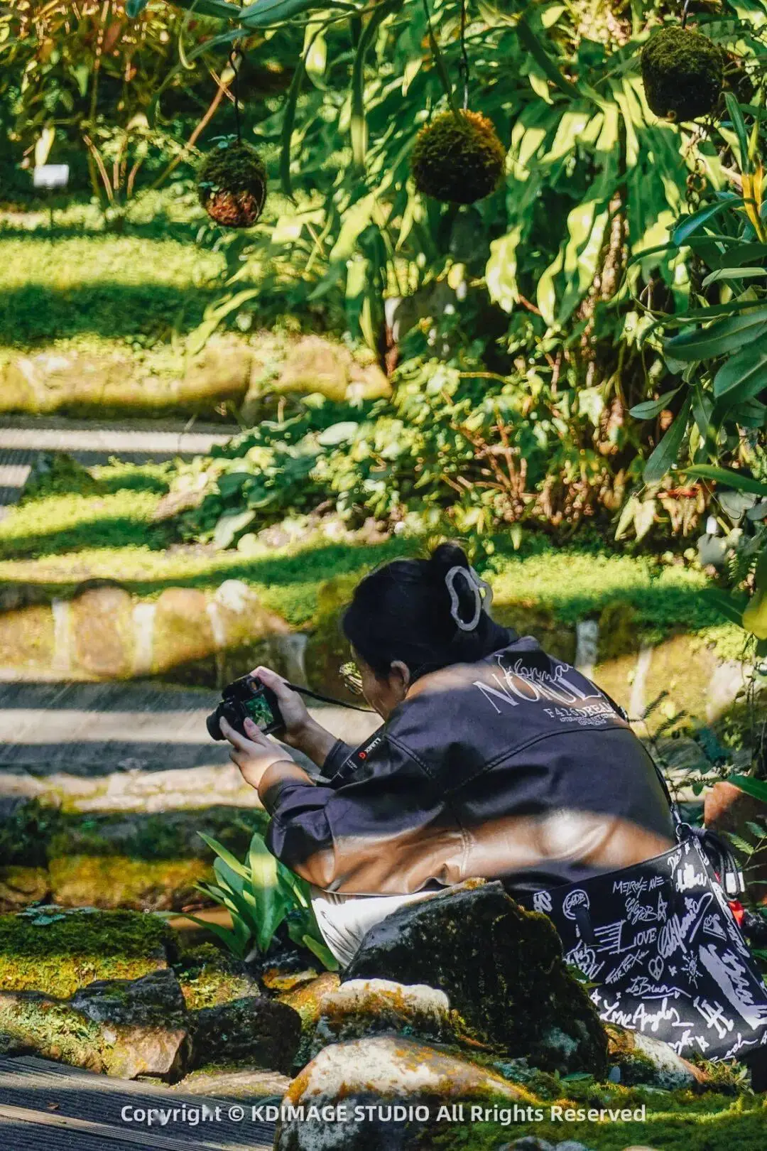 _植物园深圳_深圳植物园寺庙