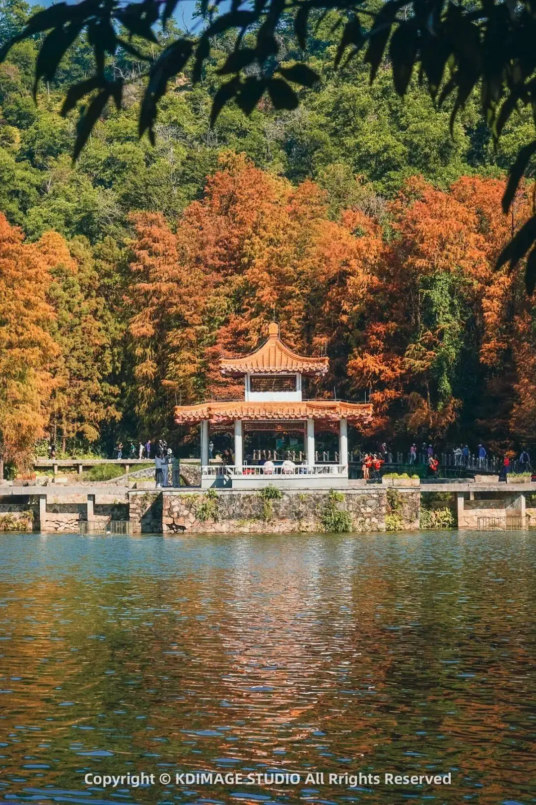 深圳植物园寺庙__植物园深圳