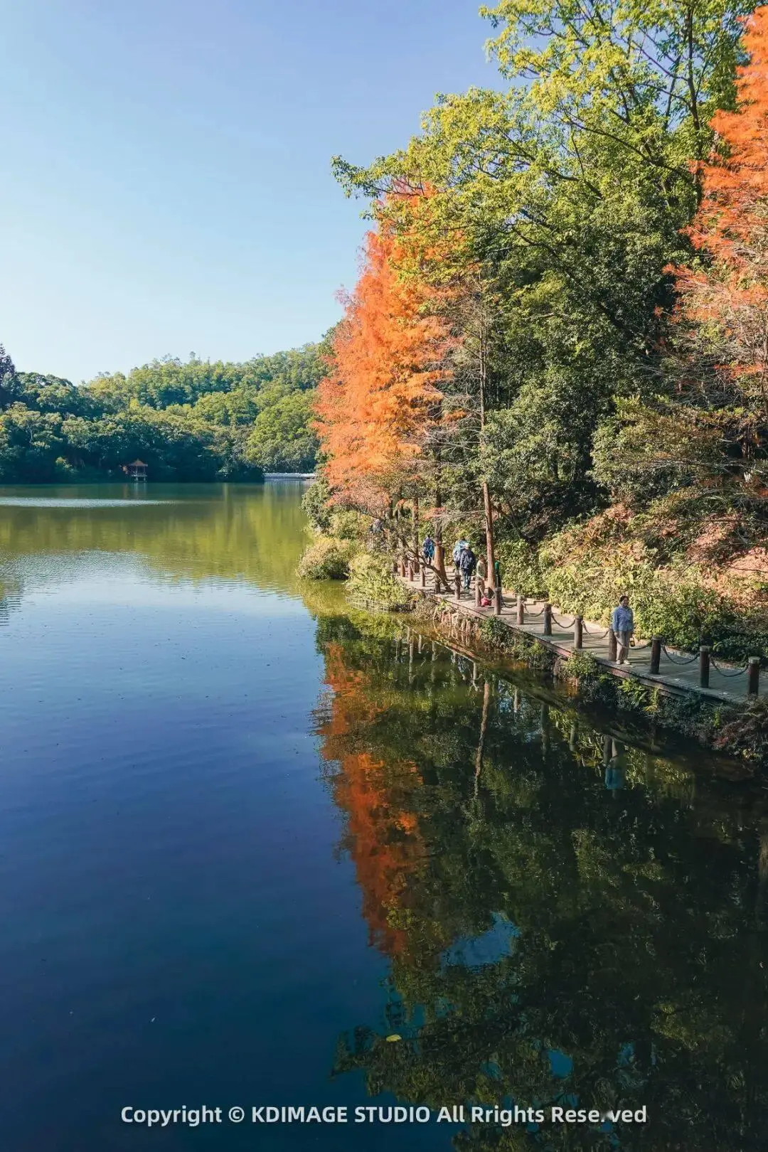 _植物园深圳_深圳植物园寺庙
