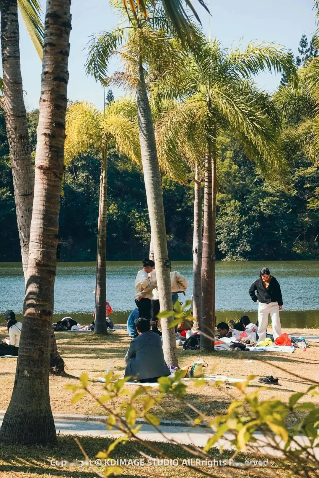 深圳植物园寺庙__植物园深圳