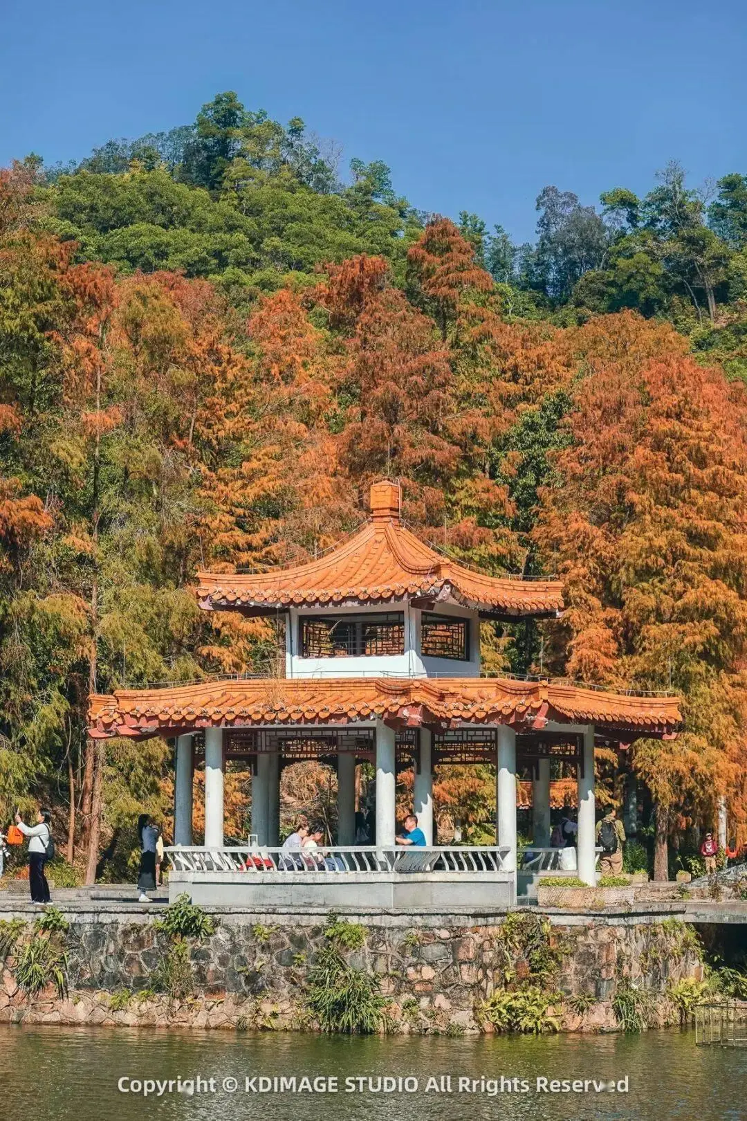 植物园深圳__深圳植物园寺庙