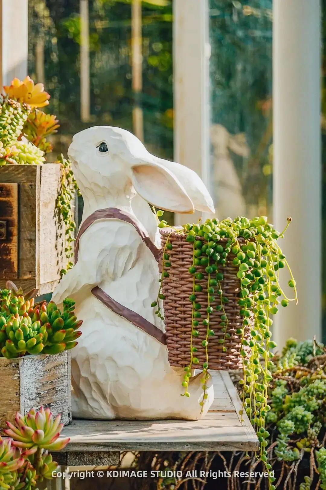 深圳植物园寺庙__植物园深圳
