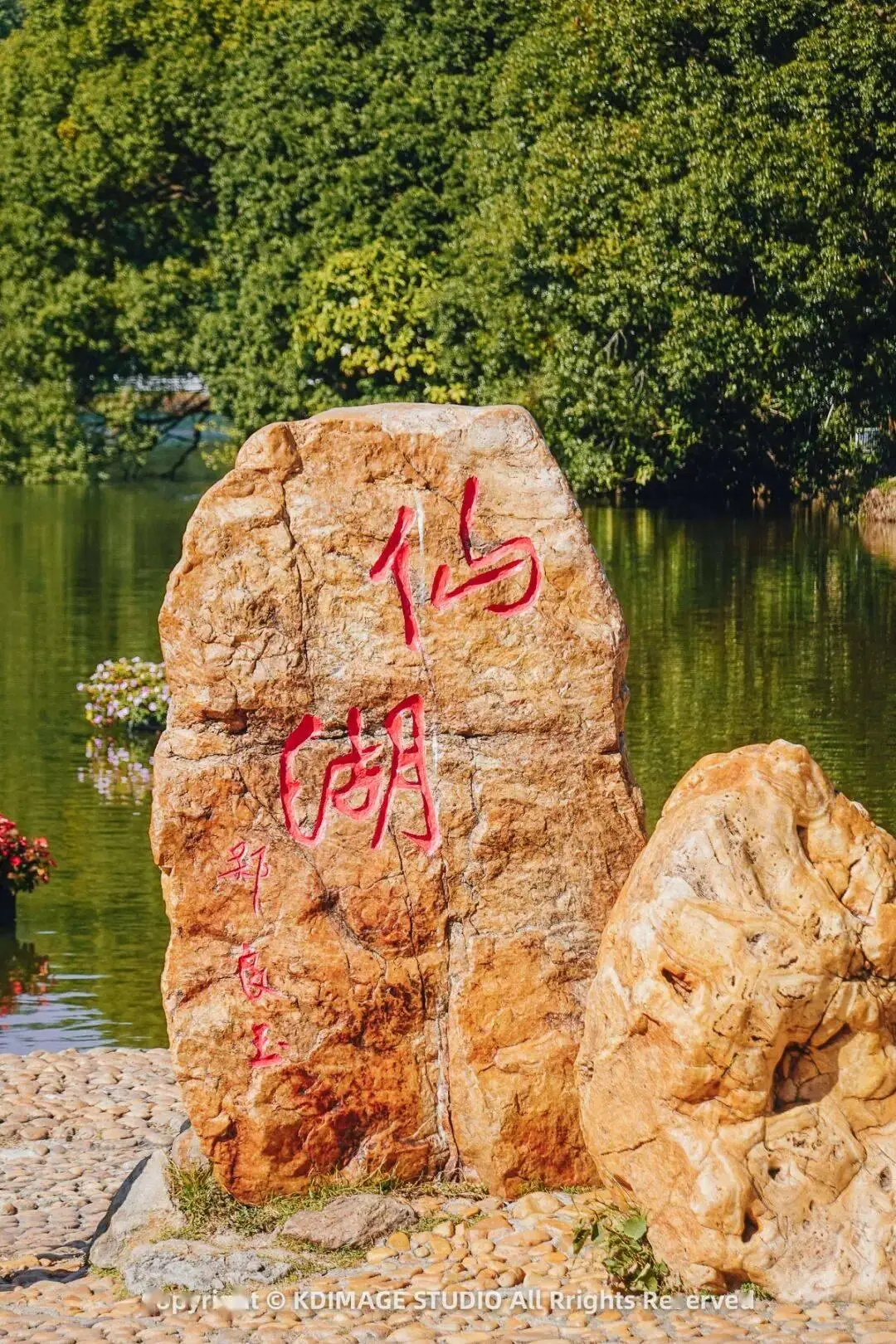 深圳植物园寺庙__植物园深圳