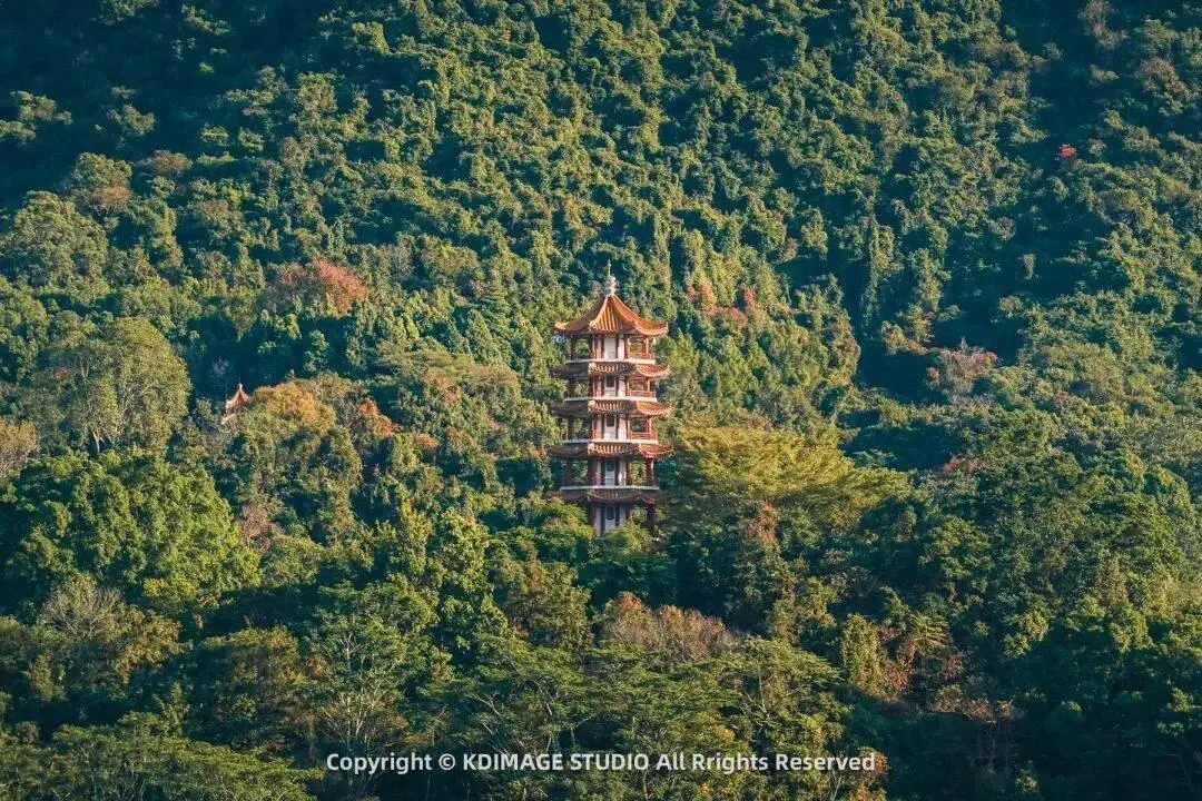 深圳植物园寺庙_植物园深圳_