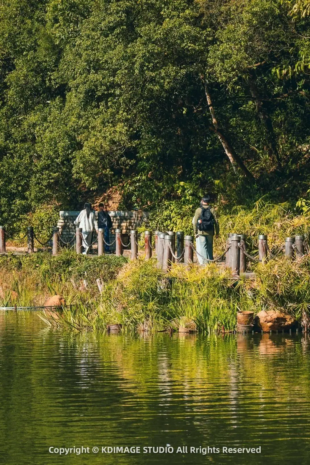 深圳植物园寺庙__植物园深圳
