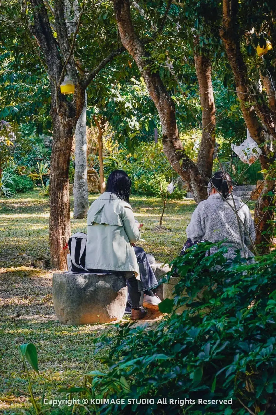 _植物园深圳_深圳植物园寺庙