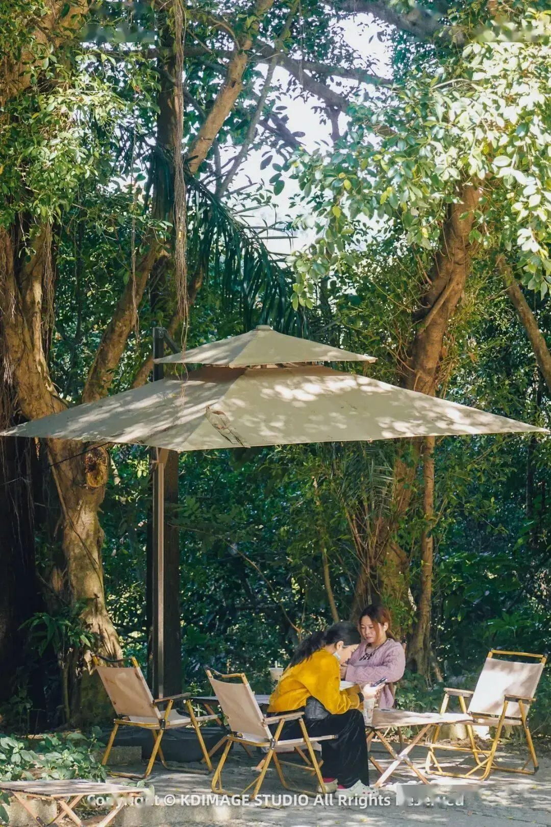 _深圳植物园寺庙_植物园深圳