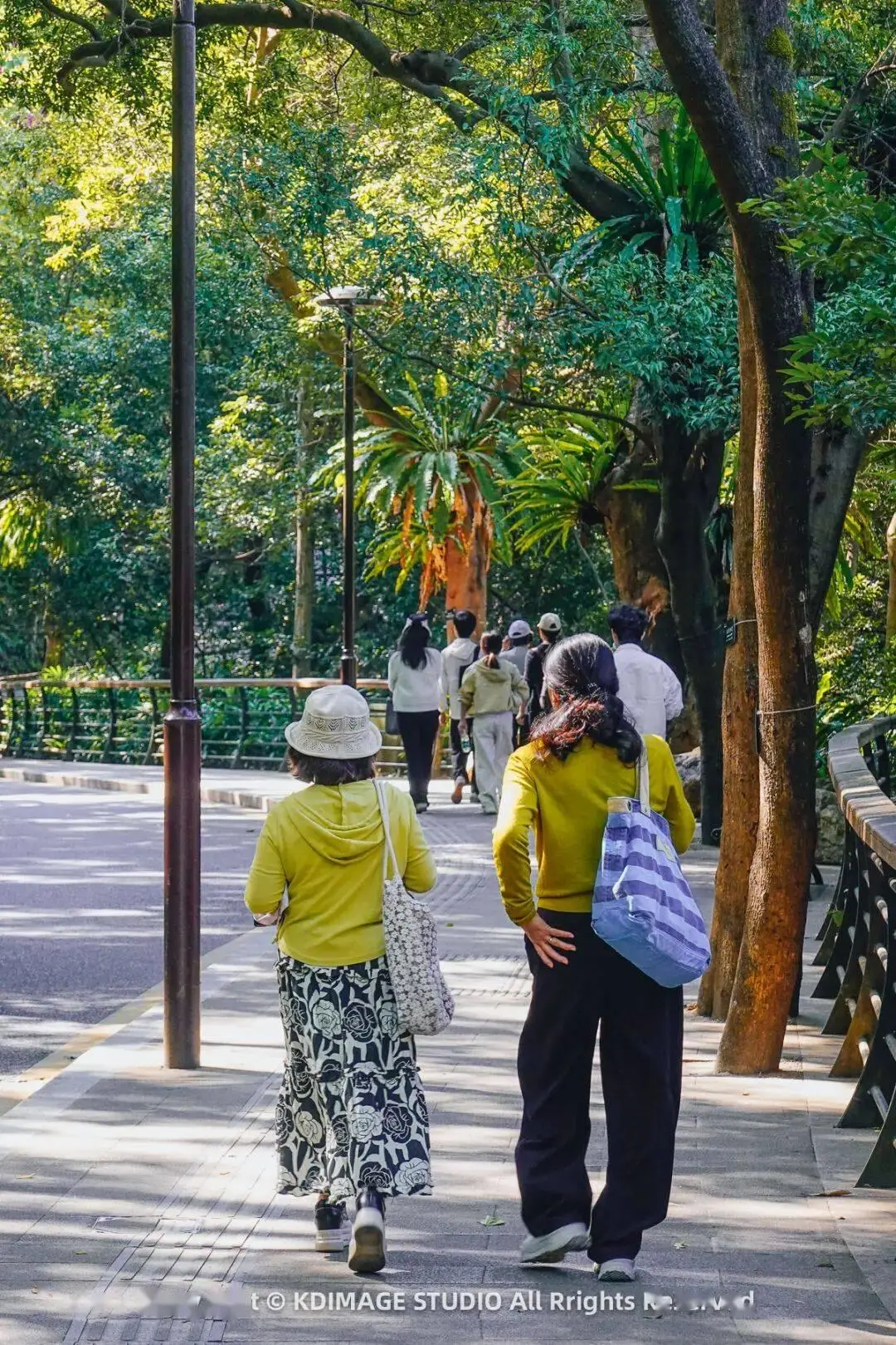 _深圳植物园寺庙_植物园深圳