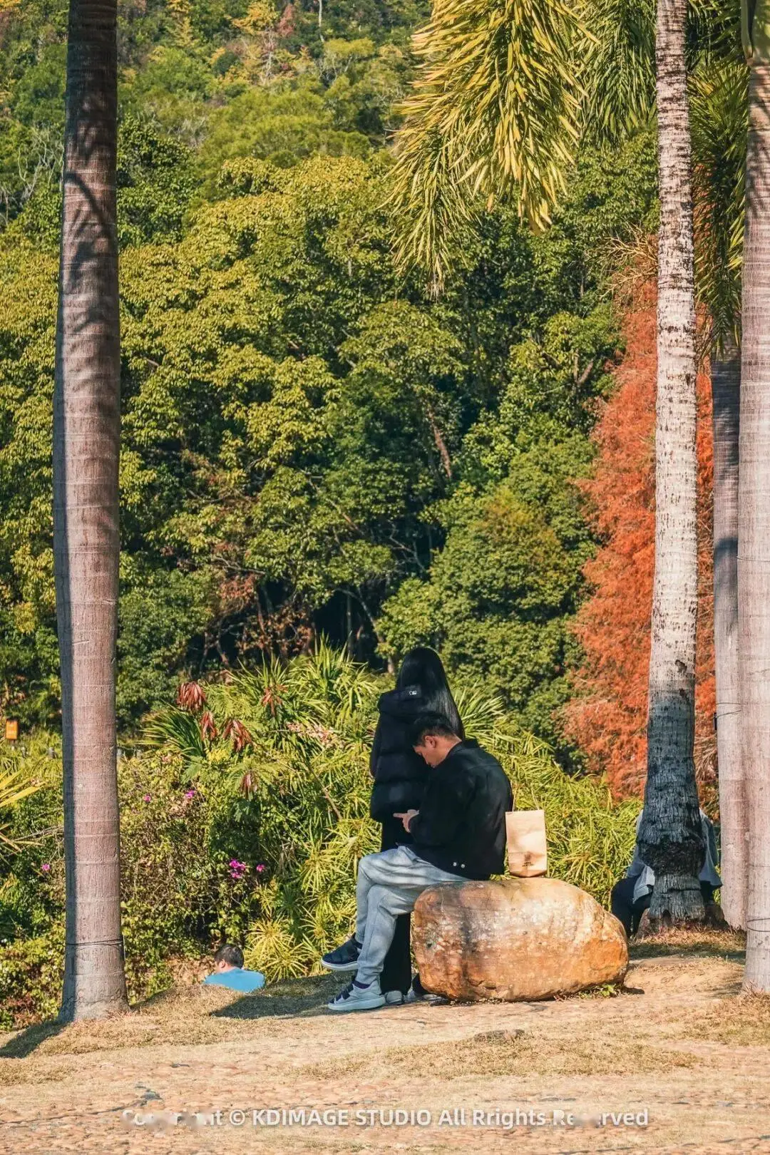 _深圳植物园寺庙_植物园深圳