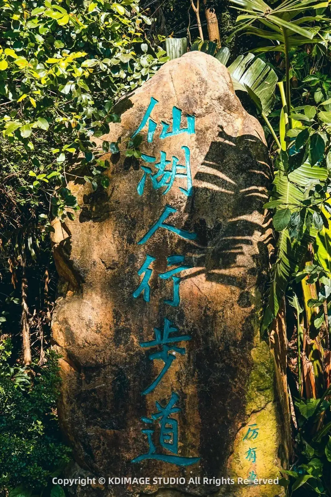 深圳植物园寺庙__植物园深圳