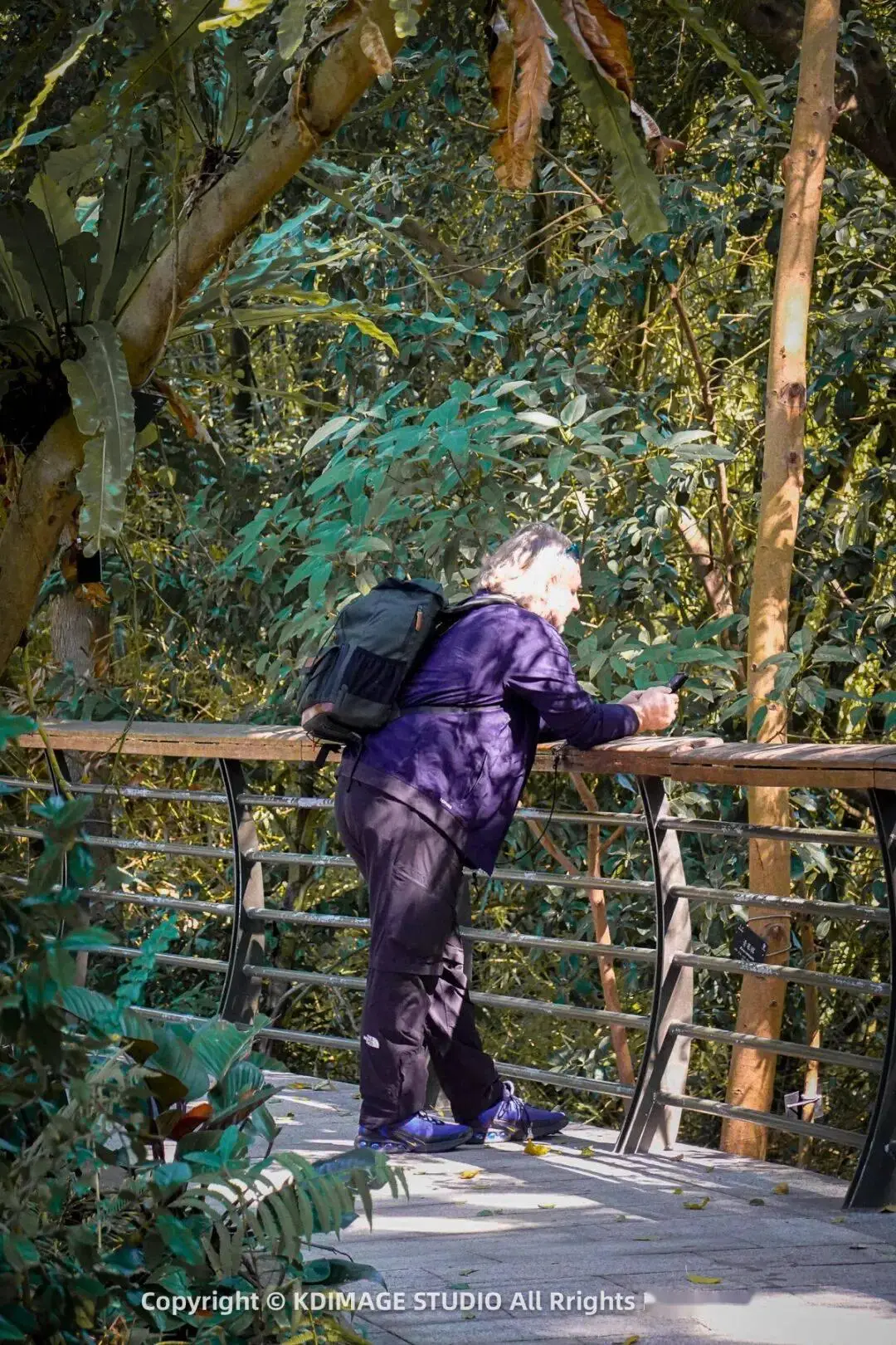 植物园深圳__深圳植物园寺庙