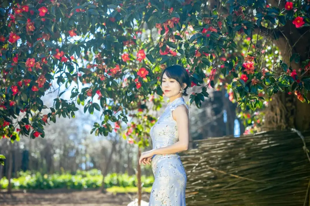 腾冲风物志丨打卡传统村落和睦茶花村，解锁山里人家的悠然一日