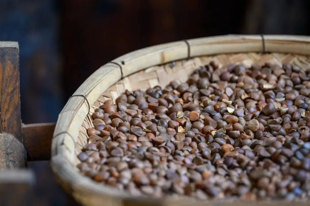 悠然山村河森__悠然山村何森