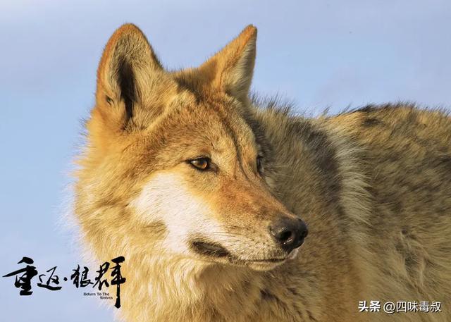 _时隔9年,这部神作为什么还能看哭无数人?_时隔9年,这部神作为什么还能看哭无数人?