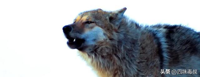 时隔9年,这部神作为什么还能看哭无数人?_时隔9年,这部神作为什么还能看哭无数人?_