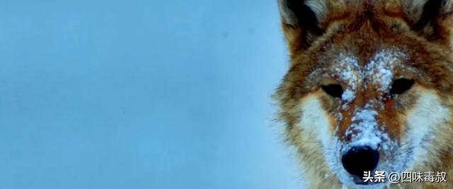 时隔9年,这部神作为什么还能看哭无数人?_时隔9年,这部神作为什么还能看哭无数人?_