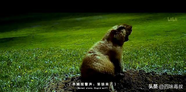 _时隔9年,这部神作为什么还能看哭无数人?_时隔9年,这部神作为什么还能看哭无数人?