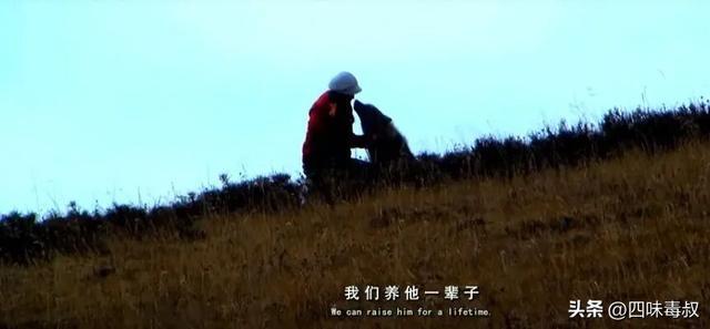 时隔9年,这部神作为什么还能看哭无数人?_时隔9年,这部神作为什么还能看哭无数人?_