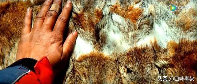 _时隔9年,这部神作为什么还能看哭无数人?_时隔9年,这部神作为什么还能看哭无数人?