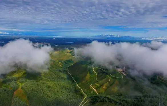 张掖乡村特色美食__张掖甘州特色美食图片