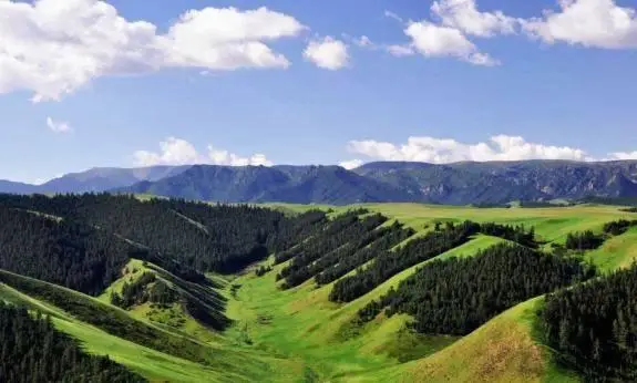 _张掖乡村特色美食_张掖甘州特色美食图片
