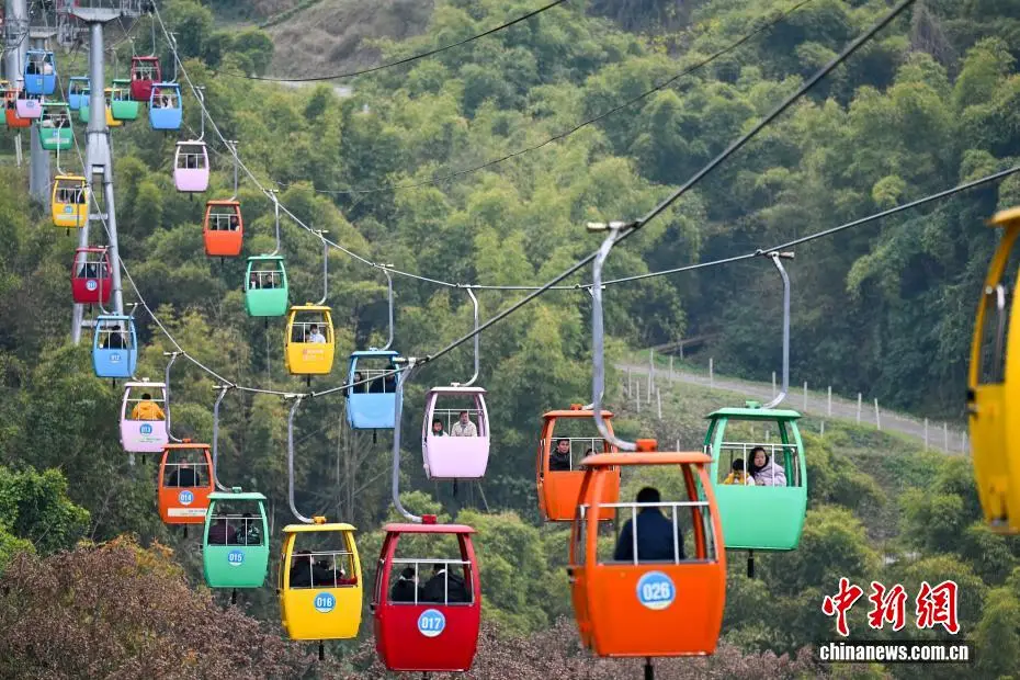 重庆:坐着索道“上春山” 解锁空中春游新体验