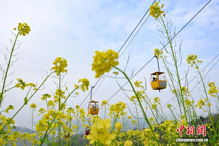 _重庆空中栈道_重庆空中缆车