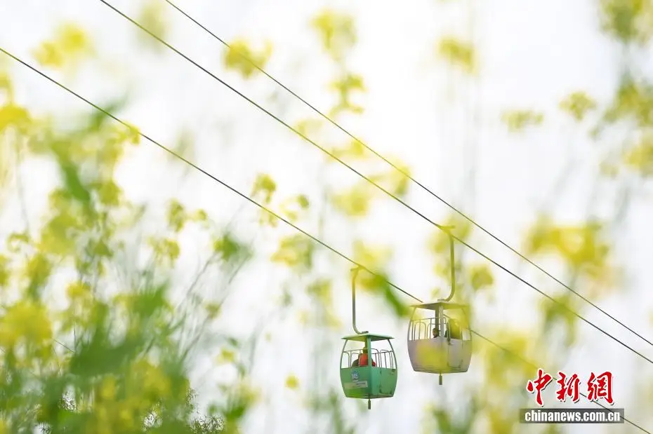 重庆空中栈道__重庆空中缆车