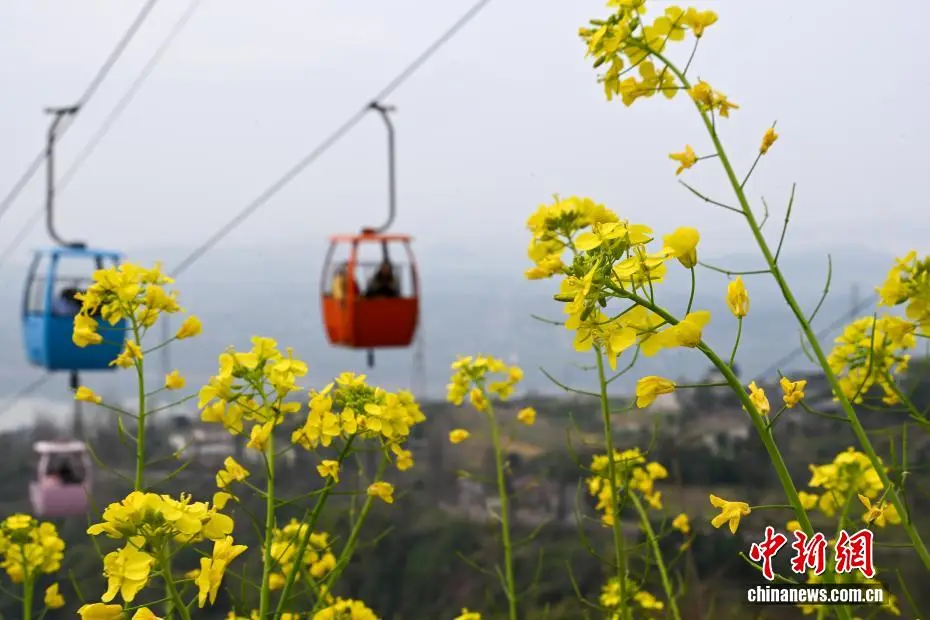 重庆空中栈道__重庆空中缆车