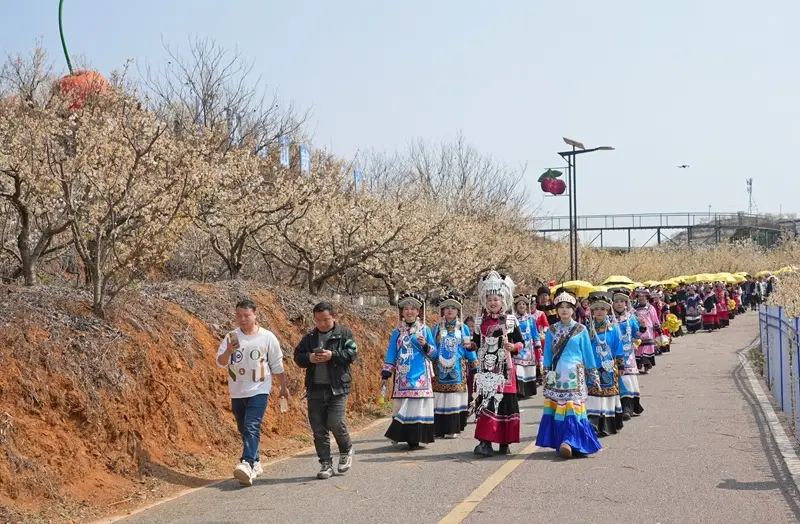 _贵州纳雍枪杆岩图片_贵州纳雍百兴镇图片