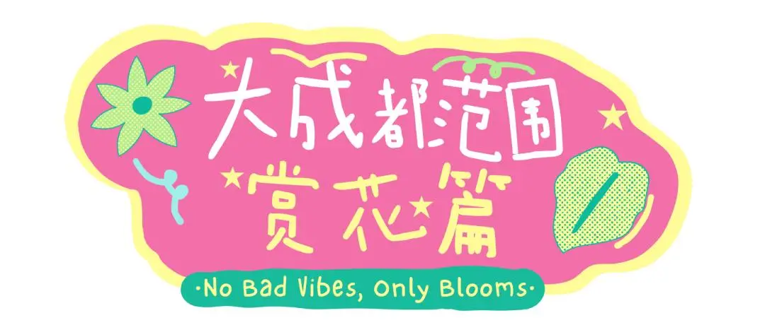 _梅城油菜花_油菜花梅花什么季节开的