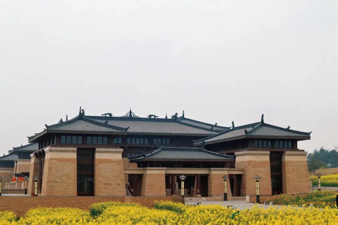 油菜花梅花什么季节开的__梅城油菜花