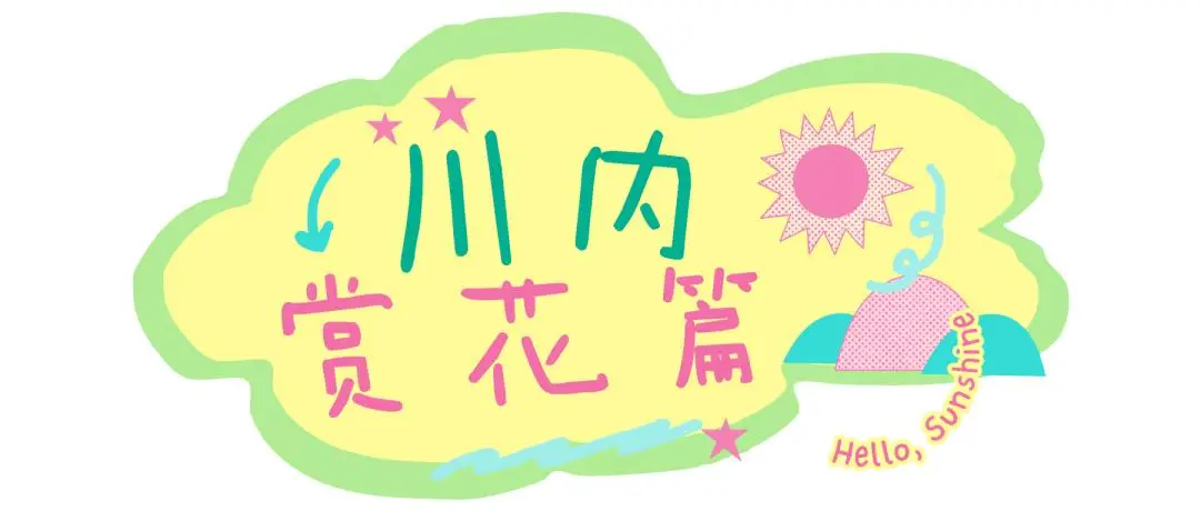 梅城油菜花__油菜花梅花什么季节开的