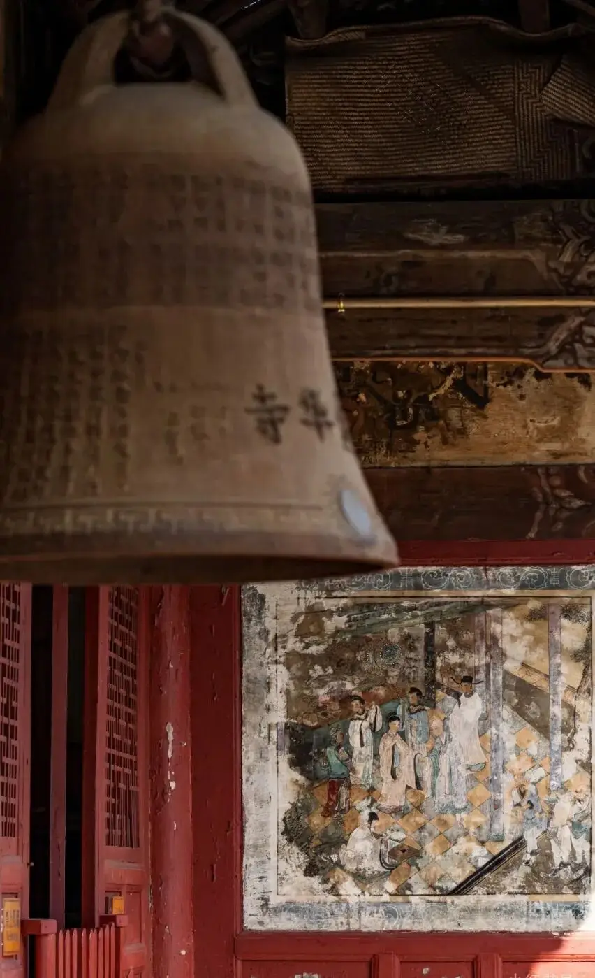 油菜花梅花什么季节开的_梅城油菜花_