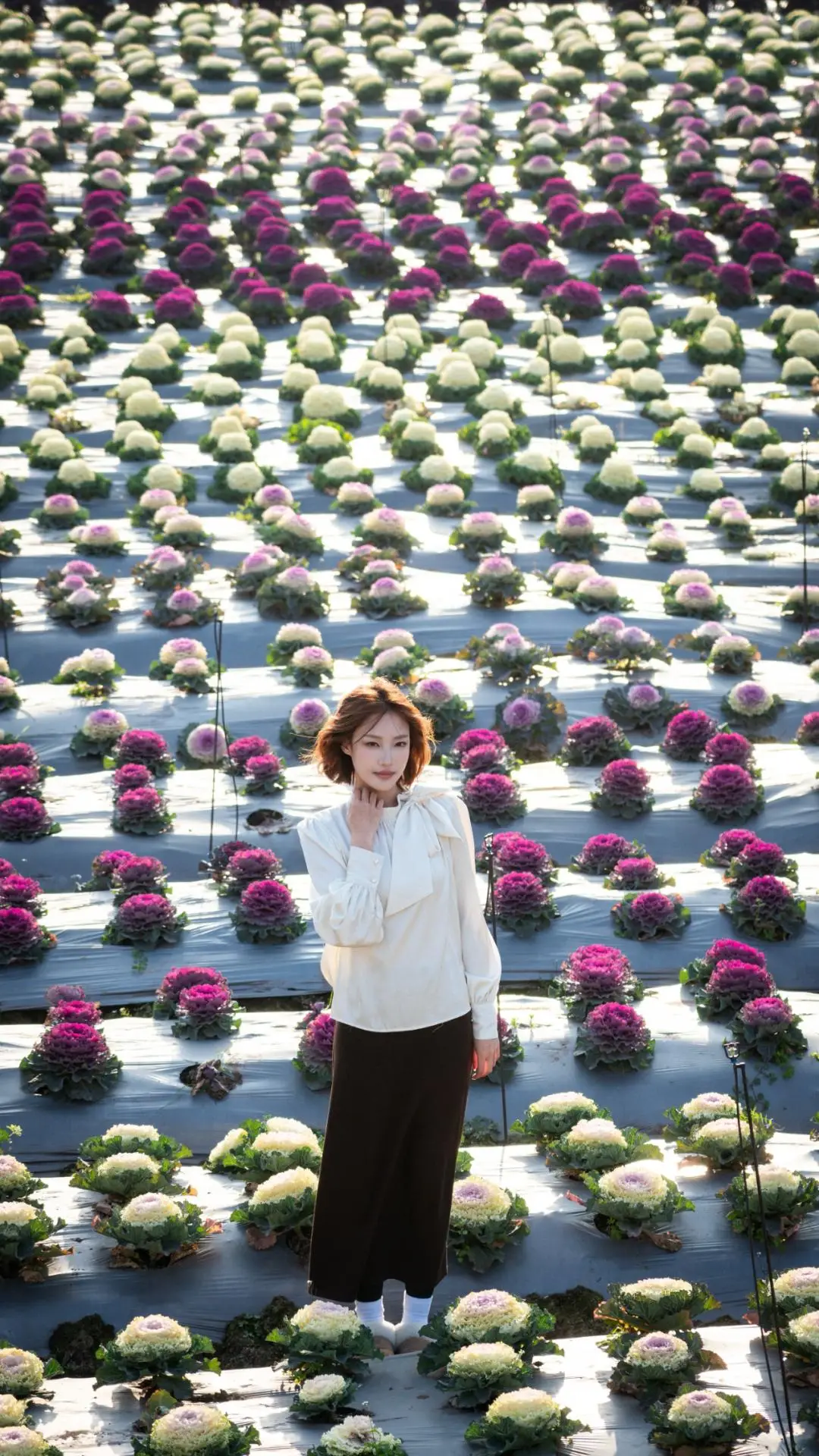 梅城油菜花__油菜花梅花什么季节开的