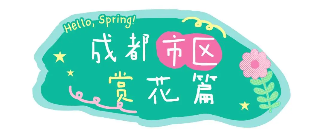 油菜花梅花什么季节开的__梅城油菜花