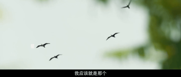 _央视播的年代剧_年代央视